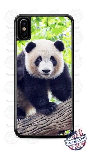 Panda bear cute animals phone - bear,